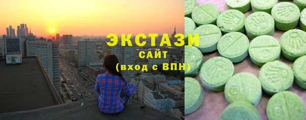 гашик Алексин