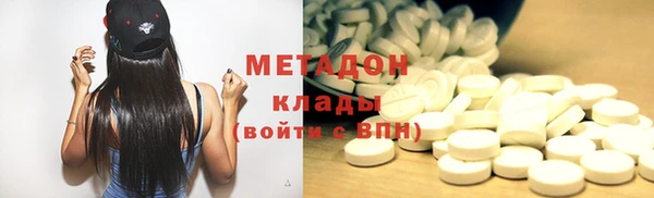 гашик Алексин