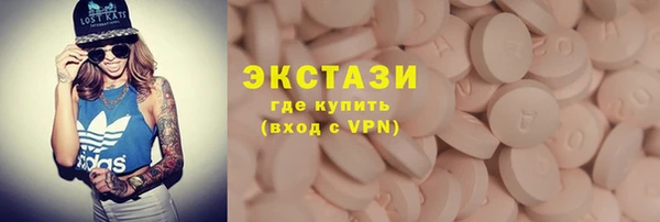 гашик Алексин