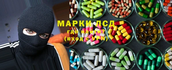 гашик Алексин