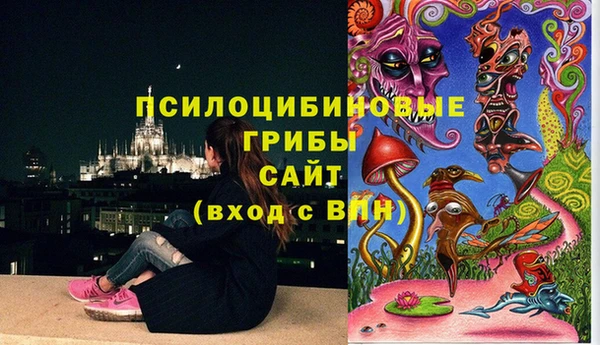 a pvp Алзамай