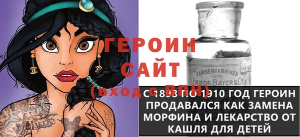 гашик Алексин
