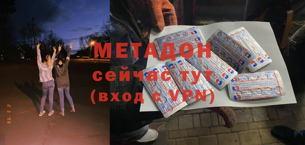 гашик Алексин