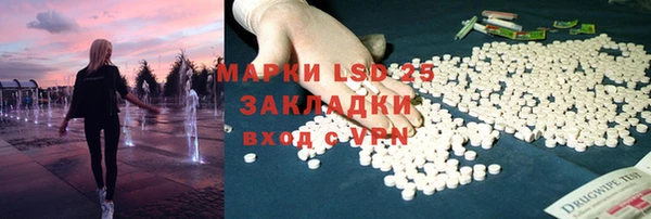 гашик Алексин
