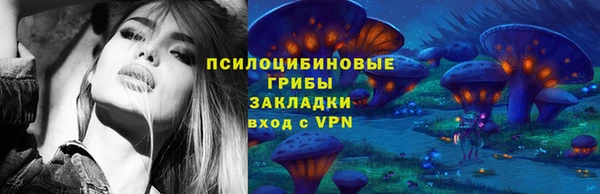 гашик Алексин