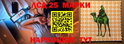 гидропоника Гусиноозёрск