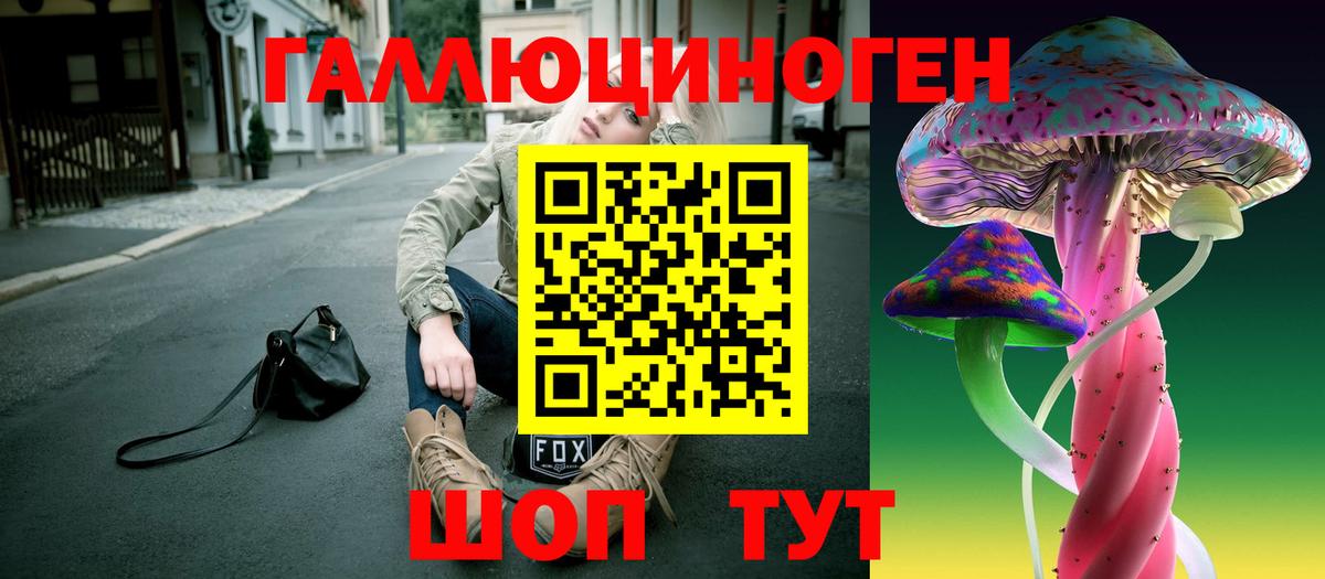 Галлюциногенные грибы Psilocybine cubensis Минусинск